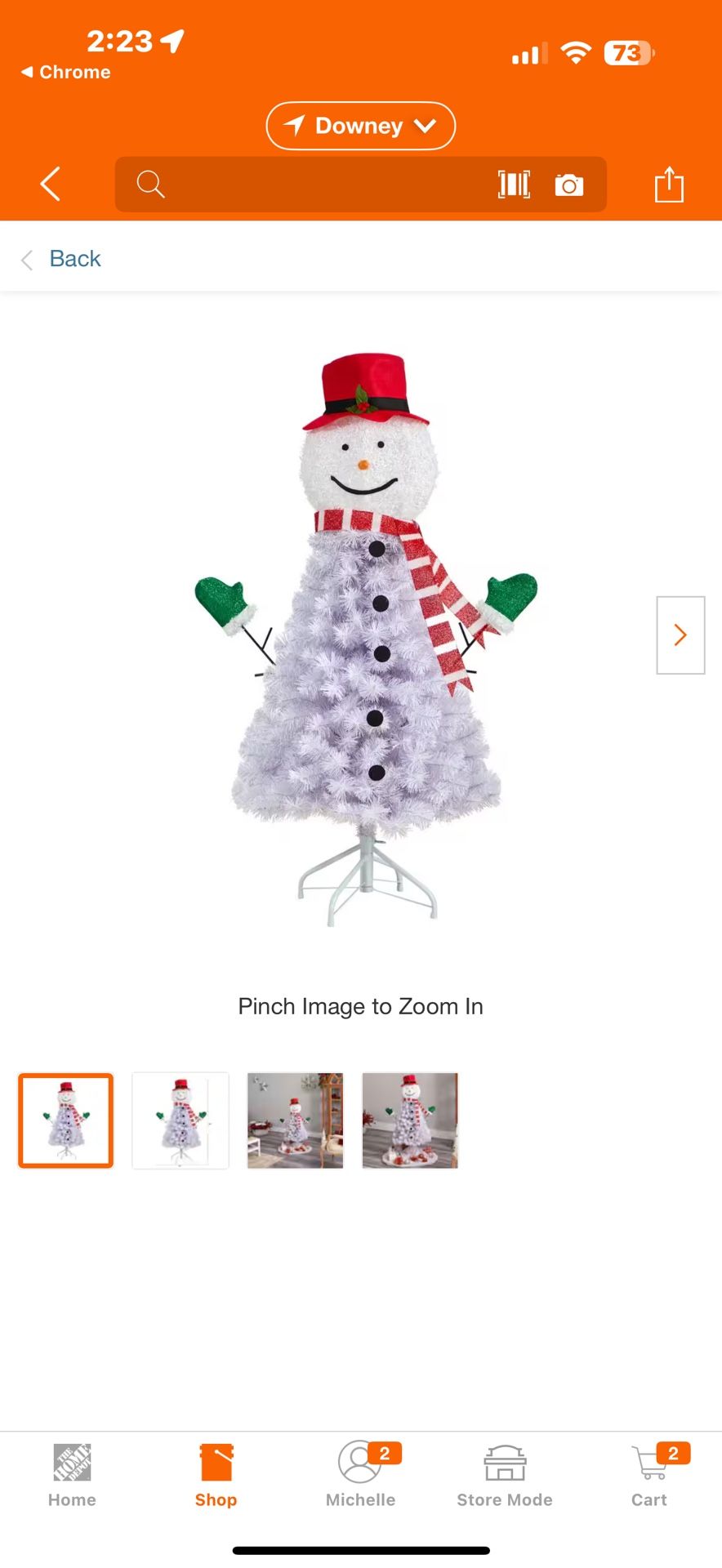 Snowman Bendable Branches Bought Last Year