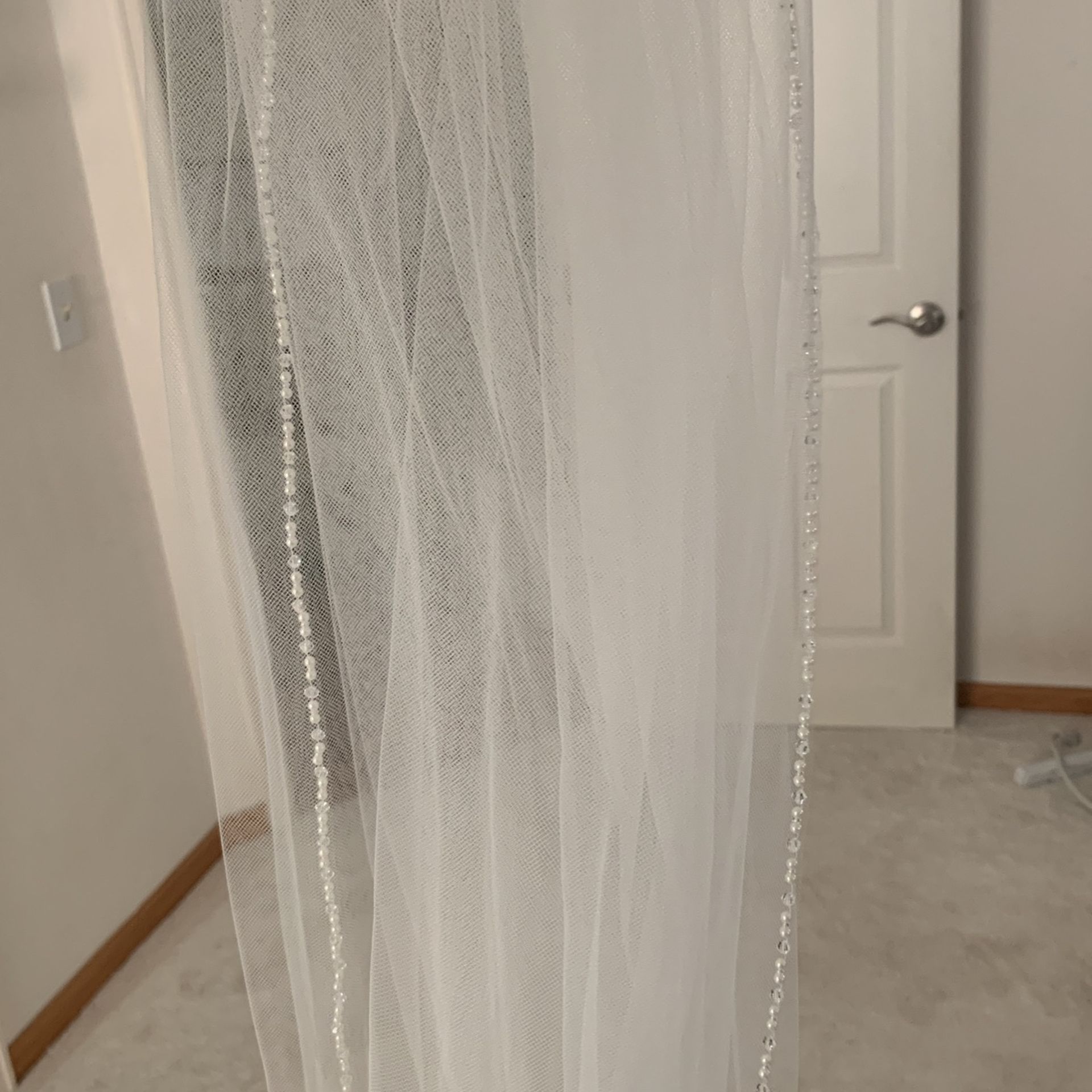 Brand New Cathedral Veil 