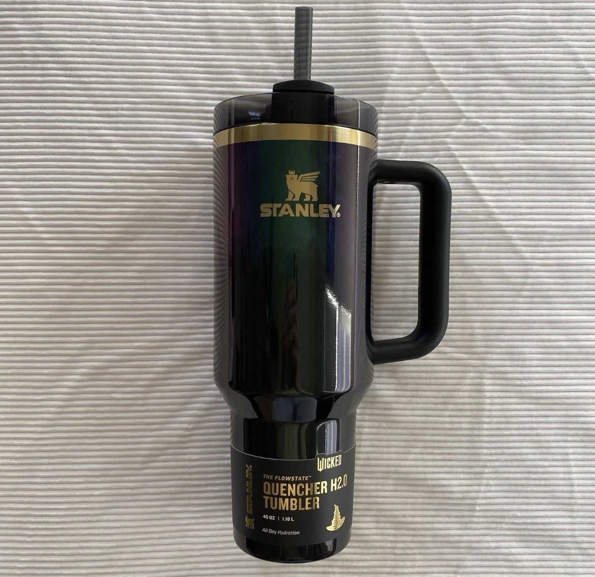 Elphaba For Good Stanley 40 oz Stainless Steel H2.0 Flowstate Quencher Tumbler