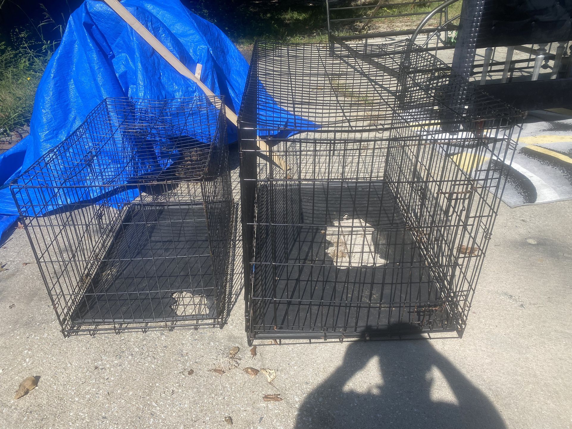 2 Dog Crates