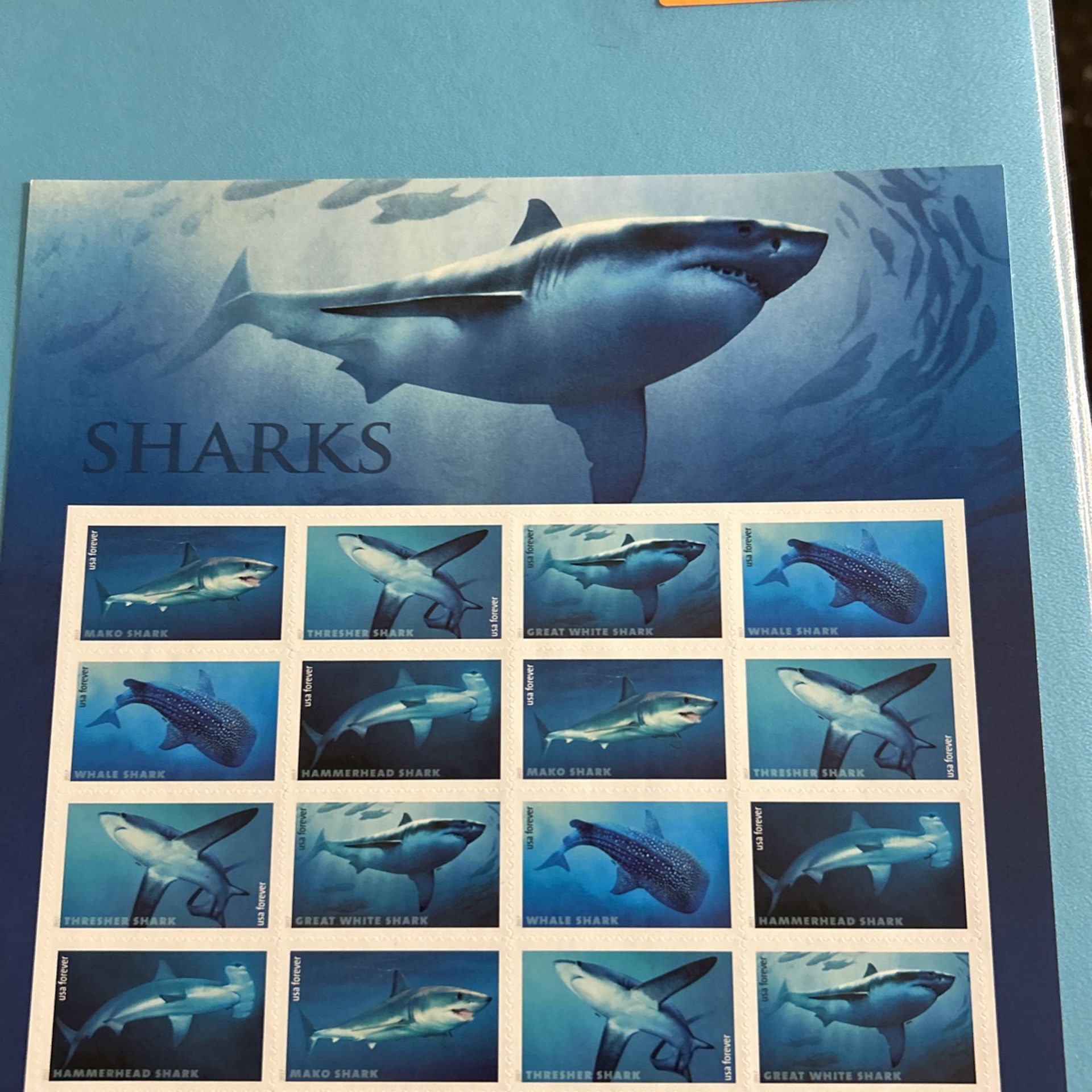 2017  SHARKS STAMP SHEET -- USA #5223-#5227 Forever Stamps.  OCEAN CREATURES