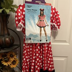 Minnie Mouse Custome 