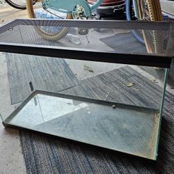 Terrarium And Supplies