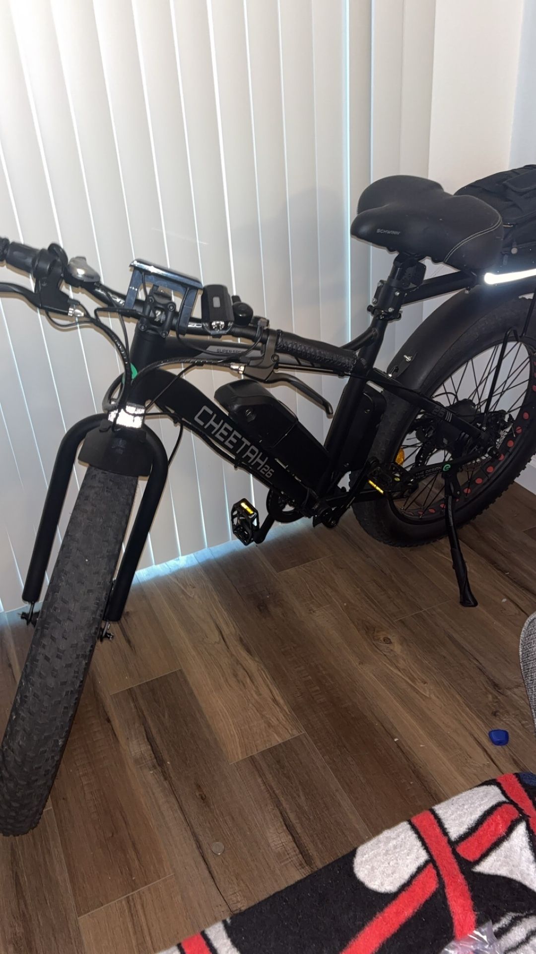 Electric Bike
