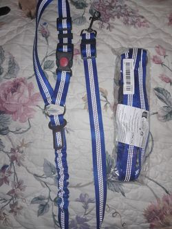 Pet Harness For Vehicle