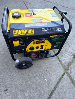 Dual fuel generator
