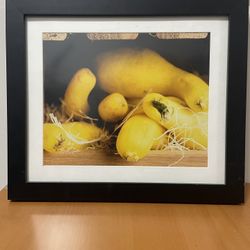 Framed Picture Of Squash 