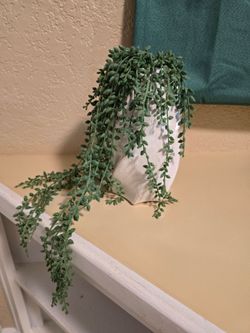 Faux Trailing Succulent Plant in Ceramic Planter
