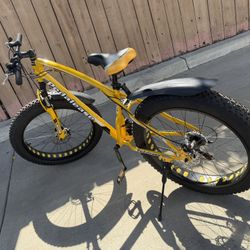 PedalEase "Big Cat" Bike 