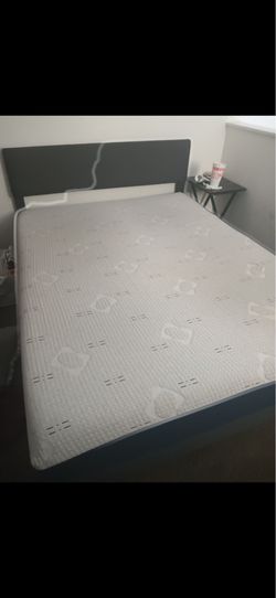Queen bed frame no mattress
