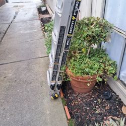 Ladder 