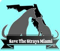 Save the strays miami
