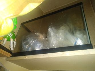 20 Gallon Fish Take No Cracks