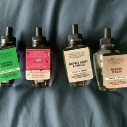 Wallflower Bundle