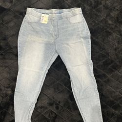 Terra & Sky Women's Plus Size 2x (20W-22W)