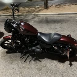 2019 Harley Davidson Sportster