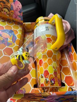Winnie the Pooh Stanley collector edition