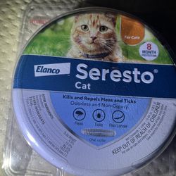 Cat Collar