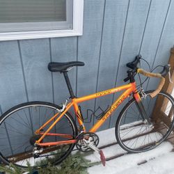 Trek SL 1000 Road/trail Bike 