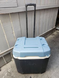 Igloo  cooler ( see all pics & video for Measurements ,condition and details please 🙏🏾)