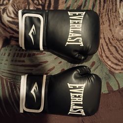 Everlast Core 2 boxing gloves