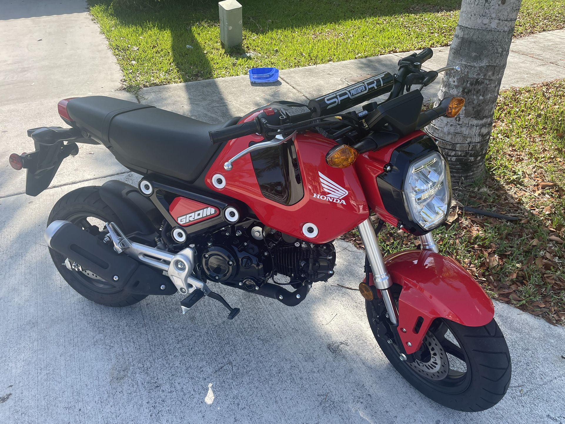 2023 Honda Grom