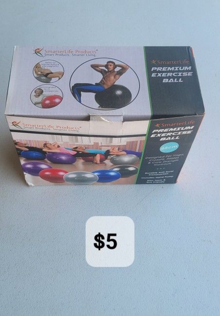 Exercise Ball Pregnant Fitness