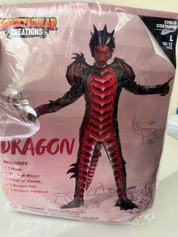 Kids dragon costume