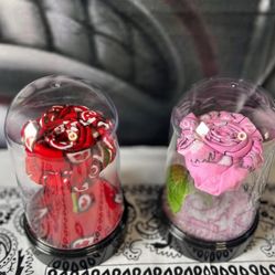 Bandana Roses