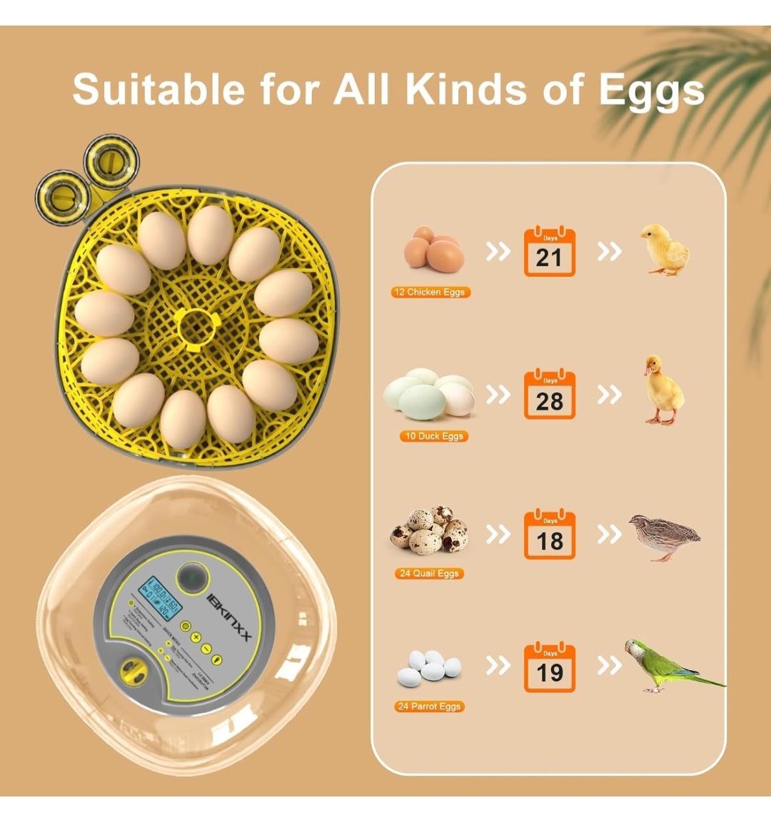 IBIKXX. Incubator. 12 Eggs