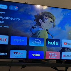 55 Inch