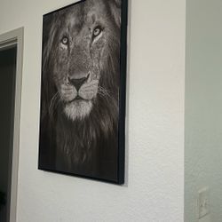 glossy lion poster 
