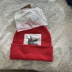 Supreme North Face Beanie