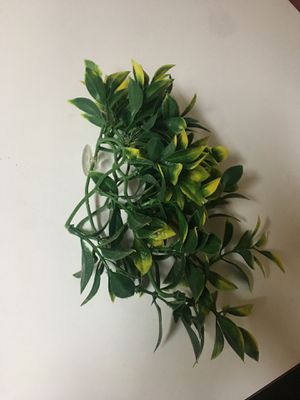 Photo Medium sized fake hanging plant
