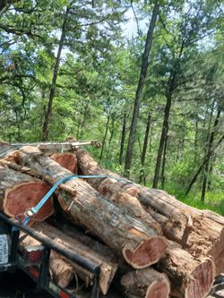 Cedar Post And More