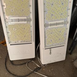 Gavita CT 1930e LED Grow Light (5 Of Them)