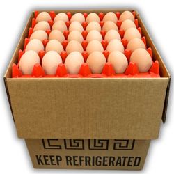 100 Jumbo Eggs 