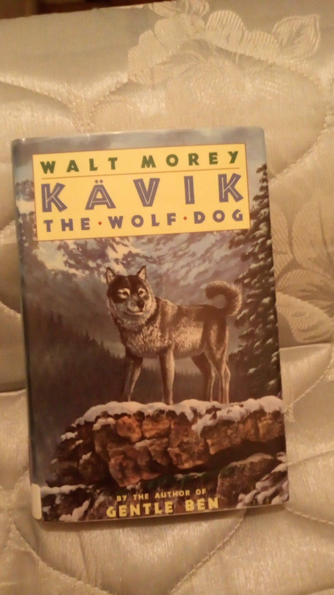 Kavik the wolf dog