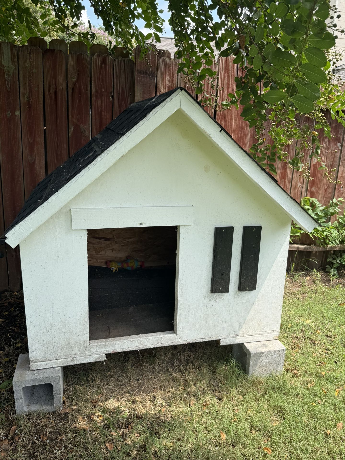 Dog House 