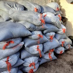 Tierra Preparada Para Plantas Y Pasto $4