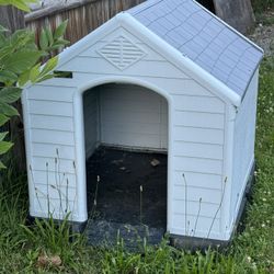 Large Dog House 