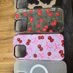 iPhone 16 Pro Max Cases 