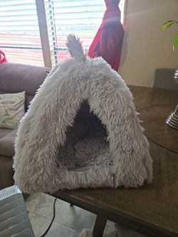 ¿Casita para gato?
