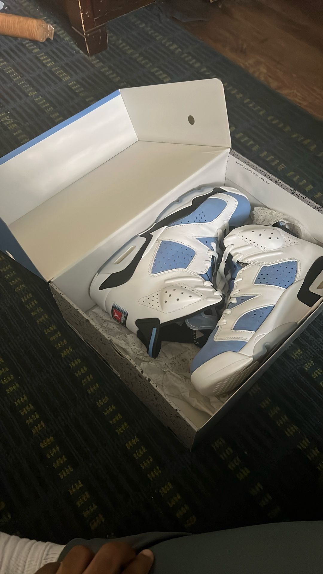 Jordan 6 UNC