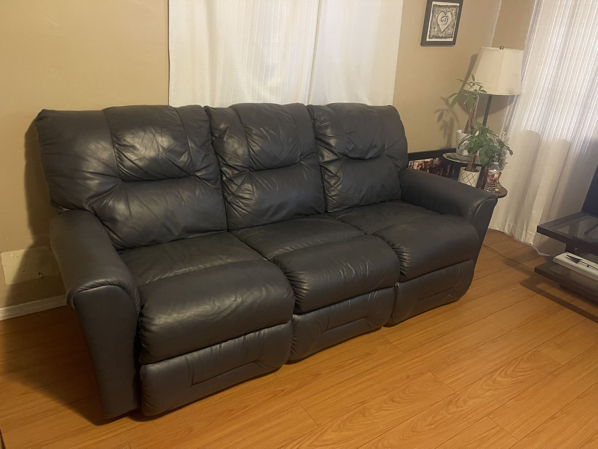 Sofa Couch Leather Free Curbside Delivery