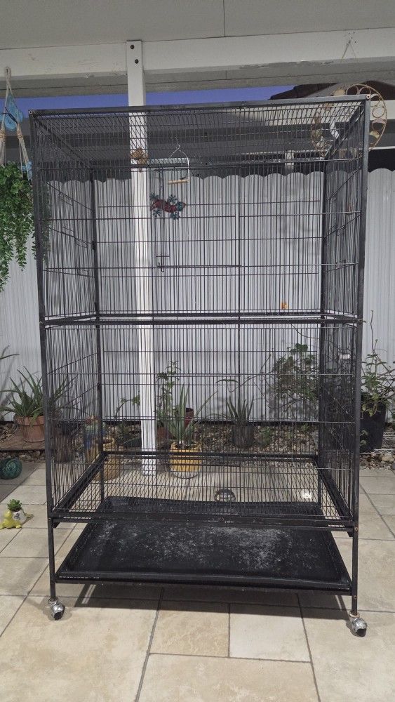 Bird Cage..........JAULA PARA PAJAROS