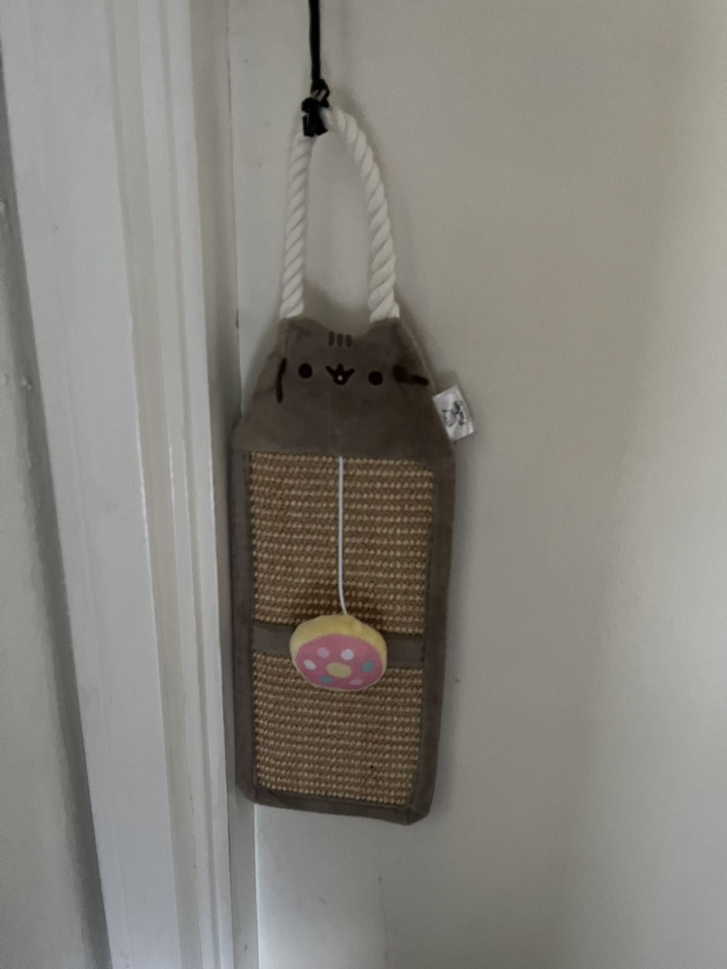 Pusheeen Cat Scratcher 