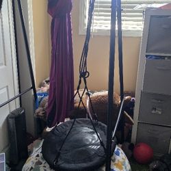 Autism Spectrum Disorder Swing 