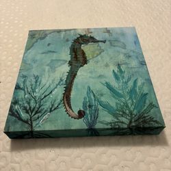 Seahorse Picture