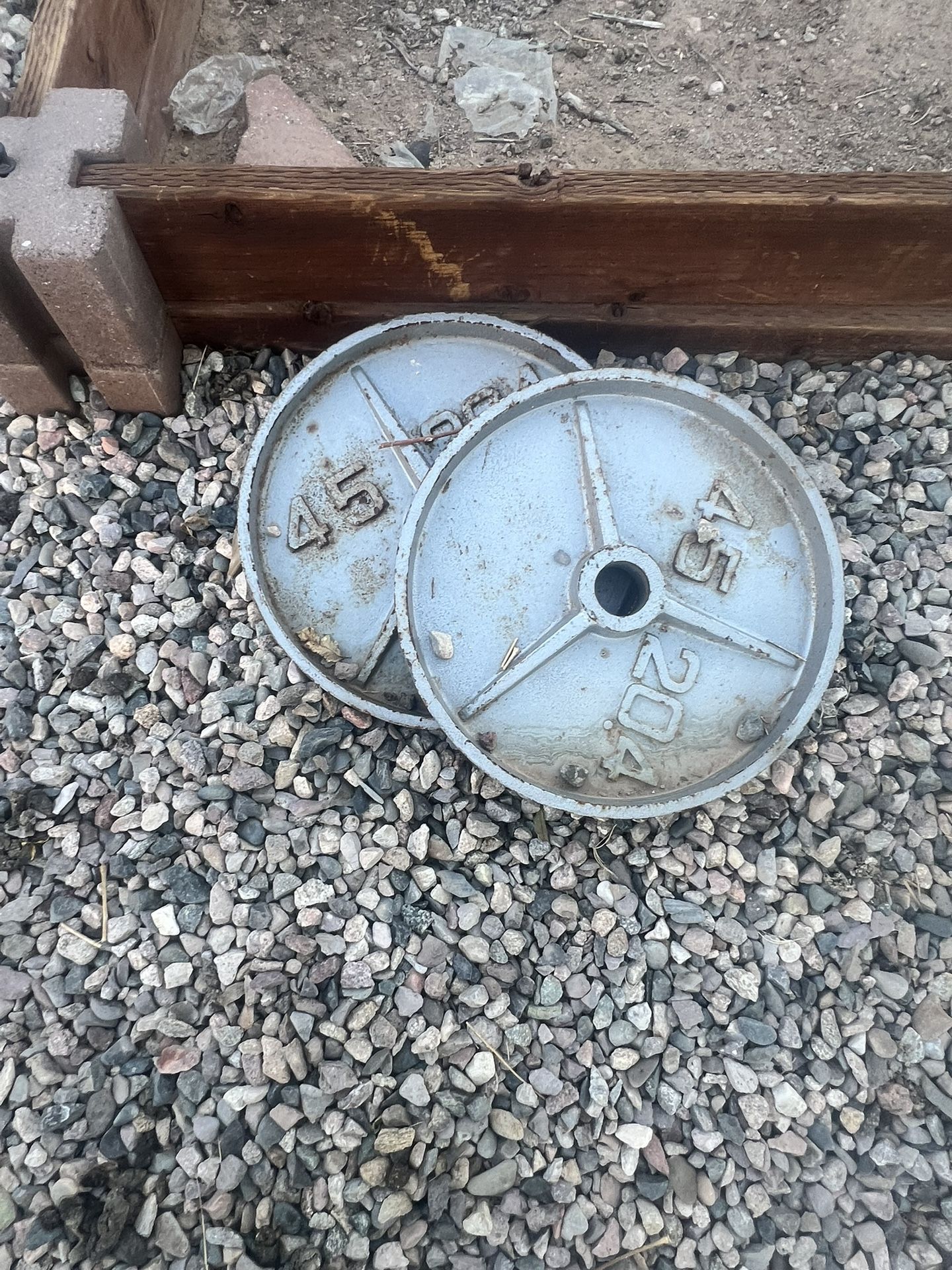 Gym Equipment